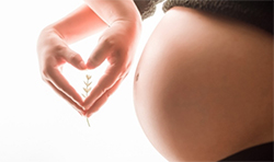 怀孕期间滨州如何做产前亲子鉴定，在滨州怀孕几个月做亲子鉴定结果准确吗